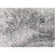 Woodland 168 X 120 inch Grey Indoor Hand-Loomed Rug, Hand-Loomed